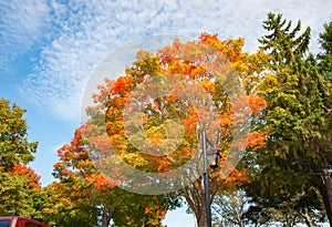 Brilliant autumn foliage colors of New England fall