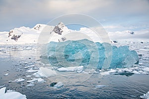 Brilliant blue iceberg floating in Antarctica waters