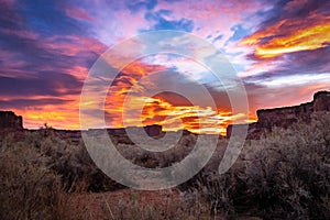 The brilliant colors of a sunrise reflecting on clouds over the top of a canyon wall with desert vegetation in the foreground