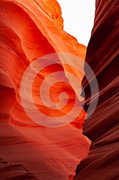 Brilliant colors of Upper Antelope Canyon, the famous slot canyon in the Navajo reservation near Page, Arizona, USA.