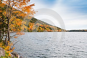 Brilliant fall colors on a hillside curving along  the shore of a lake in Acadia National Park