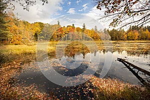 Brilliant fall foliage around Morey Pond in Wilmot, New Hampshire