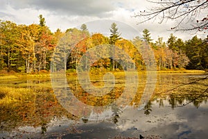 Brilliant fall foliage around Morey Pond in Wilmot, New Hampshire