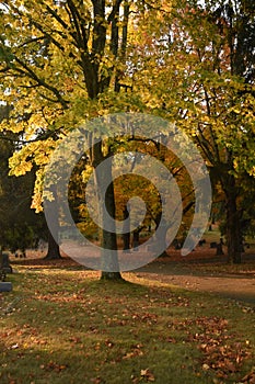 Brilliant Fall Foliage in a Graveyard in New England