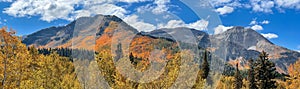 Brilliant fall foliage on Timpanogos mountain range in Utah