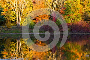 Brilliant Fall Trees Reflected in Water in Wright Woods