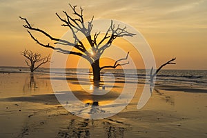 Brilliant sunburst illuminates Edisto Island Beach on Edisto Island near Charleston, SC.