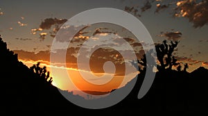 Brilliant Sunset at Joshua Tree National Park