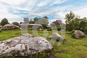 Brimham Rocks, Yorkshire Dales