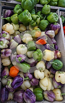 Brimming bin of bright, crunchy bell peppers