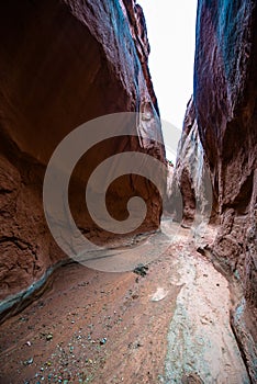 Brimstone Gulch Dry Fork Narrows of Coyote