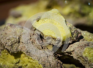 Brimstone - volcanic sulfur ore sample