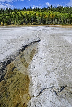 Brine Flowing from Mineral Spring, Wood Buffalo National Park