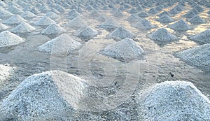 Brine salt farm at Samut Sakhon, Thailand. Organic sea salt. Evaporation and crystallization of sea water. Raw material of salt