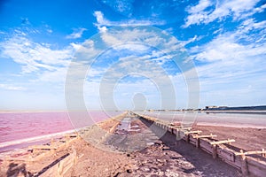 Brine and salt of a pink lake, colored by microalgae Dunaliella salina, famous for its antioxidant properties, enriching