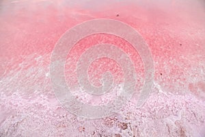 Brine and salt of a pink lake, colored by microalgae Dunaliella salina, famous for its antioxidant properties, enriching photo