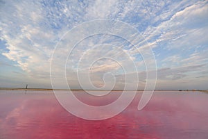 Brine and salt of a pink lake, colored by microalgae Dunaliella salina, famous for its antioxidant properties, enriching photo