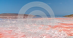 Brine and salt of a pink lake Koyash colored by microalgae Dunaliella salina, famous for its antioxidant properties, enriching
