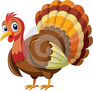 Vibrant Turkey Vector for Seasonal and Wildlife Themes photo