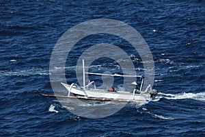 Bringing in the catch of the day photo