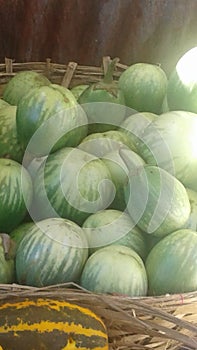 Brinjal one of the special vegitable