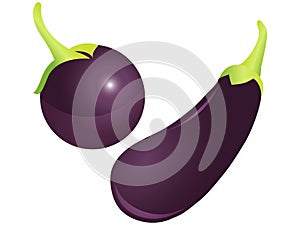 Brinjal Vector Illustration