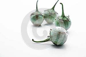 Brinjaul on white background