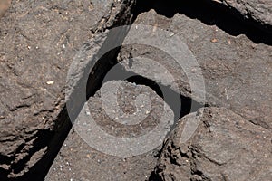 Briquette peat stacked nearby.