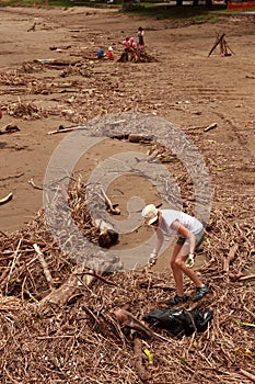 BRISBANE, AUSTRALIA - JAN 15