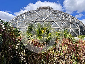 Brisbane Botanic Gardens Tropical Display Dome Queensland Australia