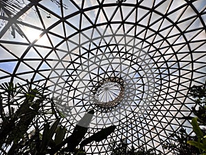 Brisbane Botanic Gardens Tropical Display Dome Queensland Australia