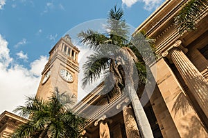 Brisbane City Hall with clock tower and palm trees