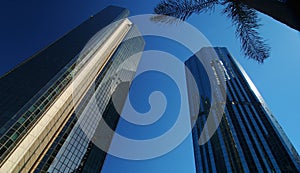 Brisbane City. Skyscrapers.