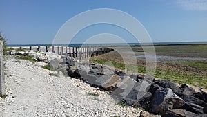 Breakwater at low tide 2