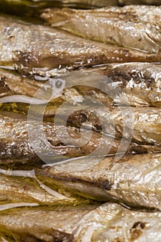 brisling sardines from norway