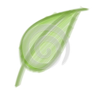 Bristle Brush Leaf
