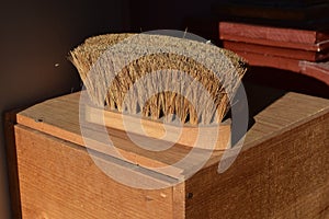 Bristle Brush photo