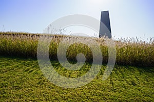 Bristlegrass on slopy lawn outside Luxelake Art Expo Center in s