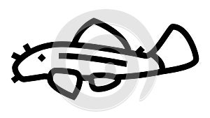bristlenose pleco line icon animation