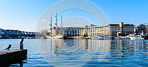 Bristol Harbourside with water birds photo