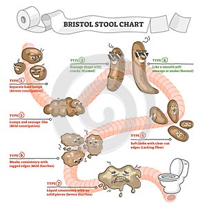 Bristol stool chart with excrement description and types outline concept photo