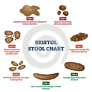 Bristol stool chart tool for faeces type classification vector illustration photo