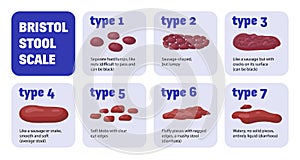 Bristol Stool Scale Composition photo