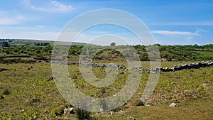 Brisworthy Burrows  , Dartmoor ,uk