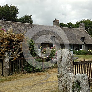 Britannic house photo