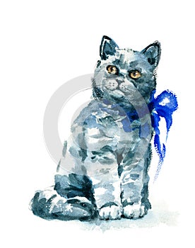 British Blue Short Hair Cat Watercolor Pet Portrait Illustration Hand Painted