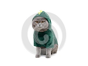 British cat in green dinosaur or dragon costume isolated on white background. Funny fat cat in clothes