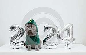 British cat in a green dragon costume on white background. Cat with Christmas decorations. Chinese New Year 2024 symbol. Copy