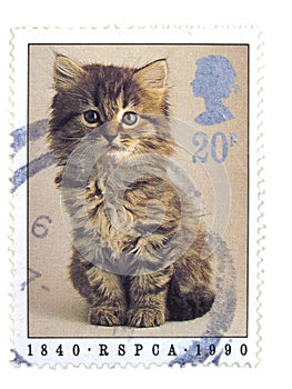 British cat stamp