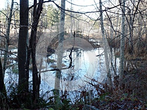 british columbia marsh